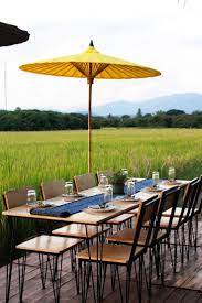 Cloud 9 Cafe Chiang Mai Arsitektur Gambar Pedesaan Desain