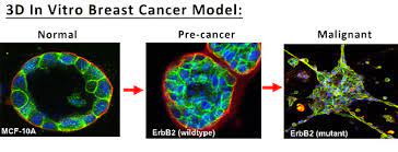 We did not find results for: Mauricio Reginato Phd Biochemistry Molecular Biology Drexel University College Of Medicine