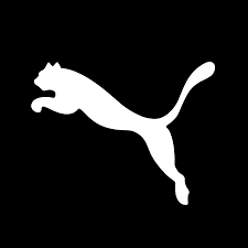 Pumas utilizes the state of the art numerical capabilities of julia for population pk and other types of analysis. Puma Youtube