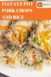 In my opinion, one of the best parts about carnitas is the crispy parts. Instant Pot Pork Chops And Rice Video Twosleevers