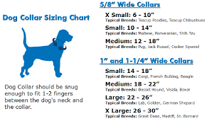 But you need to know what width of collar best suits a labrador, and then measure their neck to know the correct size. One Design Blue Yellow 1 Inch Ribbon Dog Collar
