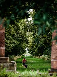 Schiffshochzeit auf der ms neuseenland. Blick Durchs Trianon Foto Bild Baume Natur Pflanzen Bilder Auf Fotocommunity