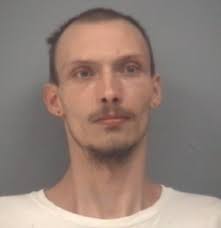 One Greenville carjacking suspect bound over to circuit court, two plead  guilty