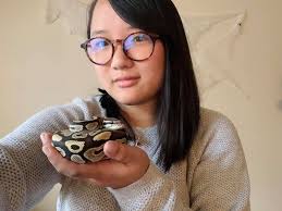 Although most people fear them, I think snakes are some of the most  beautiful and unique pets. About a year ago I fell in love with these  stunning animals and started making