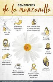 Mi Pequenos Aportes Beneficios De La Manzanilla Aqui Te Dejo Una Infografia Saludable Health And Nutrition Health Tips Health Remedies