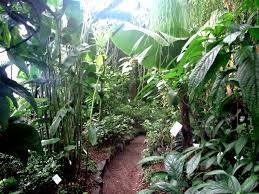 Der botanische garten in kiel ist zu jeder jahreszeit sehenswert. Kustenkidsunterwegs Weihnachtsstimmung Im Botanischen Garten Kiel