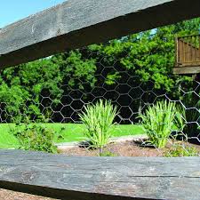 Bird Netting For Blueberries Lowes Chicken Wire Garden Fence In 2020 Vertical Garden Garden Mesh Chicken Wire Fence