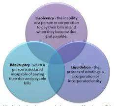 What Is The Difference Between Insolvency Bankruptcy And