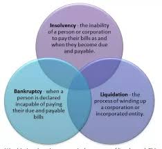 what is the difference between insolvency bankruptcy and