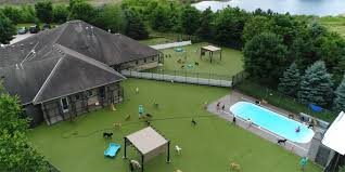 Luxury dog boarding near me. Minnesota Luxury Dog Boarding Dog Daycare Un Kennel Services Top Dog Country Club