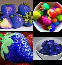 Strawberry Seeds Fruit Green Black Blue Orange White Red Pink Multi Colored Strawberry Red Climbing Strawberry An Red Strawberry Red And Pink Blue Orange White