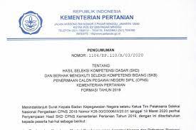 We did not find results for: Hasil Skd Cpns Kementan Diumumkan 1 371 Pelamar Lulus Halaman All Kompas Com