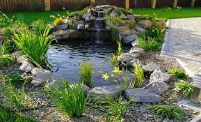 Check spelling or type a new query. 10 Simple Fish Pond Design Ideas For Your Home Decoration To Make It More Beautiful Waterfalls Backyard Ponds Backyard Pond Landscaping