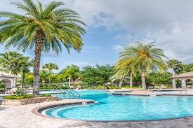 What do you need to start cleaning? Tips For Cleaning Pool Tile At The Waterline