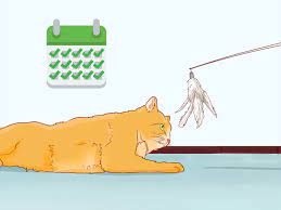 Rubber runners are another option that can save your furniture. 3 Ways To Keep Cats Off Furniture Wikihow