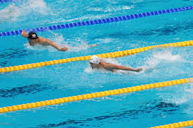 Jul 01, 2021 · 我國「蝶王」王冠閎，去年首度加盟isl國際游泳聯盟不斷突破，為所屬的卡利神鷹隊進帳不少分數，今天卡利神鷹也正式宣布. Fygwfchmho Cvm