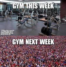 Gym Humor New Years Resolutions Gym Memes Gym Humor Funny New Year