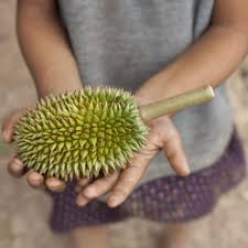 A major limit to model these data is the variability of nuts2 version for some country's durian the analysed period (i.e. What The Heck Is Durian Fruit And Why Does It Smell So Bad Myrecipes