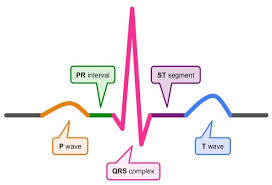 electrocardiography bioninja