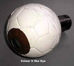 Kornea, iris, göz bebeği, göz merceği, merceğe bağlı kaslar, ağ tabakası i̇lgili konu anlatımları. Goz Maketi Yapimi 5