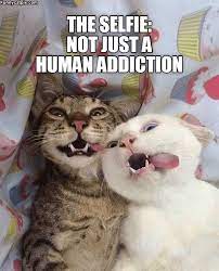 21 Extremely Funny Pictures Baby Animals Funny Cute Funny Animals Cute Animals