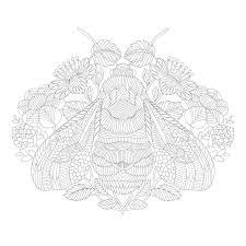 See more ideas about millie marotta, marotta, millie marotta coloring book. Downloads Millie Marotta