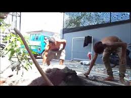 Cara Mudah Belajar Membuat Kolam Hias Tebing Youtube Bikins Make It Yourself Bata
