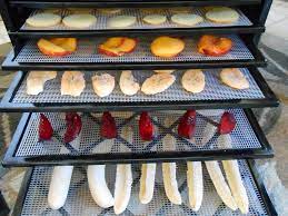 Cleaning Your Food Dehydrator | Backcountry Paleo