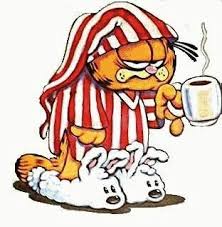 Tembel Kedi Good Morning Animation Morning Quotes Good Morning