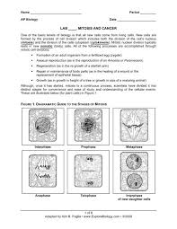 Check spelling or type a new query. Lab Mitosis And Cancer Explore Biology