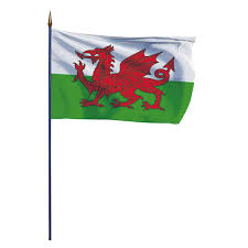 Liste actualisée des 254 drapeaux de pays du monde avec images, noms et principales informations sur les pays. Achat Drapeau Pays De Galles A Accrocher En Haut D Un Mat Doublet