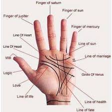 Palm Astrology Palmistry How To Read Hand Lines For Beginners Palm Reading Palmistry Palmistry Hand