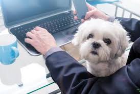 Personal Finance Stories by Elyssa Kirkham