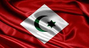 Résultat de recherche d'images pour "drapeau du rif"