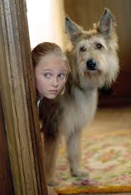 Pictures Photos From Because Of Winn Dixie 2005 Winn Dixie Movies Annasophia Robb