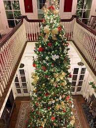 Maybe you would like to learn more about one of these? Christmas At Blithewold Enchanted Gardens