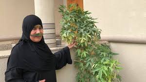 فتح الرحمن بكشف ما يلتبس في القرآن by. ÙØ§Ø·Ù…Ø© Ø§Ù„Ø£Ù†ØµØ§Ø±ÙŠ Ø¹Ø·Ø§Ø¡ ÙŠÙ…Ø´ÙŠ Ø¹Ù„Ù‰ Ù‚Ø¯Ù…ÙŠÙ† ÙŠÙ…Ù†Ø­Ù‡Ø§ Ù„Ù‚Ø¨ Ø§Ù„Ù…Ø±Ø£Ø© Ø§Ù„Ù…Ù„Ù‡Ù…Ø© Ø£Ø®Ø¨Ø§Ø± ØµØ­ÙŠÙØ© Ø§Ù„Ø±Ø¤ÙŠØ©