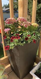 Maybe you would like to learn more about one of these? Dcn Harmony Tall Planter Plastic 12 In X 18 In Black 3512 36 Rona