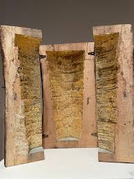 Removed in 2016, the Lyndon House Arts Center tree was turned into art