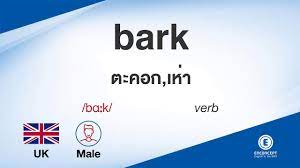 Bark แปล