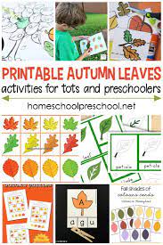 Are you looking for fun activities to do with the kids this autumn? Printable Autumn Leaves Activities For Toddlers And Preschoolers