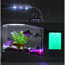 Koral adalah salah satu elemen ekosistem dan hiasan aquarium air laut yang menjadikannya berbeda dengan akuarium air tawar. Usb Desktop Aquarium Mini Fish Tank Water Light Calendar Alarm Clock Black Terbaru Agustus 2021 Harga Murah Kualitas Terjamin Blibli