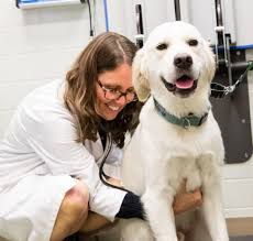 Annual Report 2022 by AMCNY