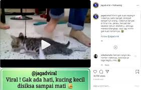 Sing with lyrics to your favorite karaoke songs. Cek Fakta Benarkah Video Kucing Diinjak Sampai Mati Terjadi Di Malaysia