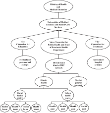 Organizational Structure Of The Iranian Health System