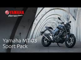 The mt03 was smoother all round, from acceleration to gear my dtracker 250cc shakes at 130, but the mt03 was steady and smooth at 145. Mt 03 Motorcycles Yamaha Motor