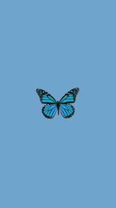 Dream, girly, aesthetic, paper, glitter, bokeh, colorful, vivid, 5k. Schmetterling Tapety Butterfly Trendy Wallpaper Aesthetic Vscowallpaper S Butterfly Wallpaper Iphone Aesthetic Iphone Wallpaper Iphone Wallpaper Vintage