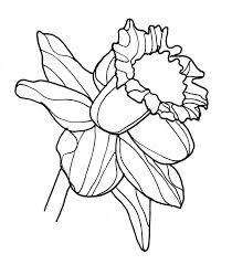 I miss you coloring page. Daffodil Coloring Pages Best Coloring Pages For Kids