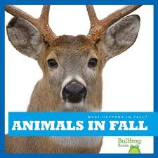 Animals In Fall Bullfrog Books What Happens In Fall B Animals Winter Animals Animal Behavior