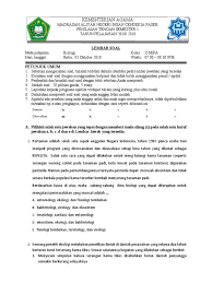 Maybe you would like to learn more about one of these? Soal Pts Biologi Kelas X Semester 2 Masnurul